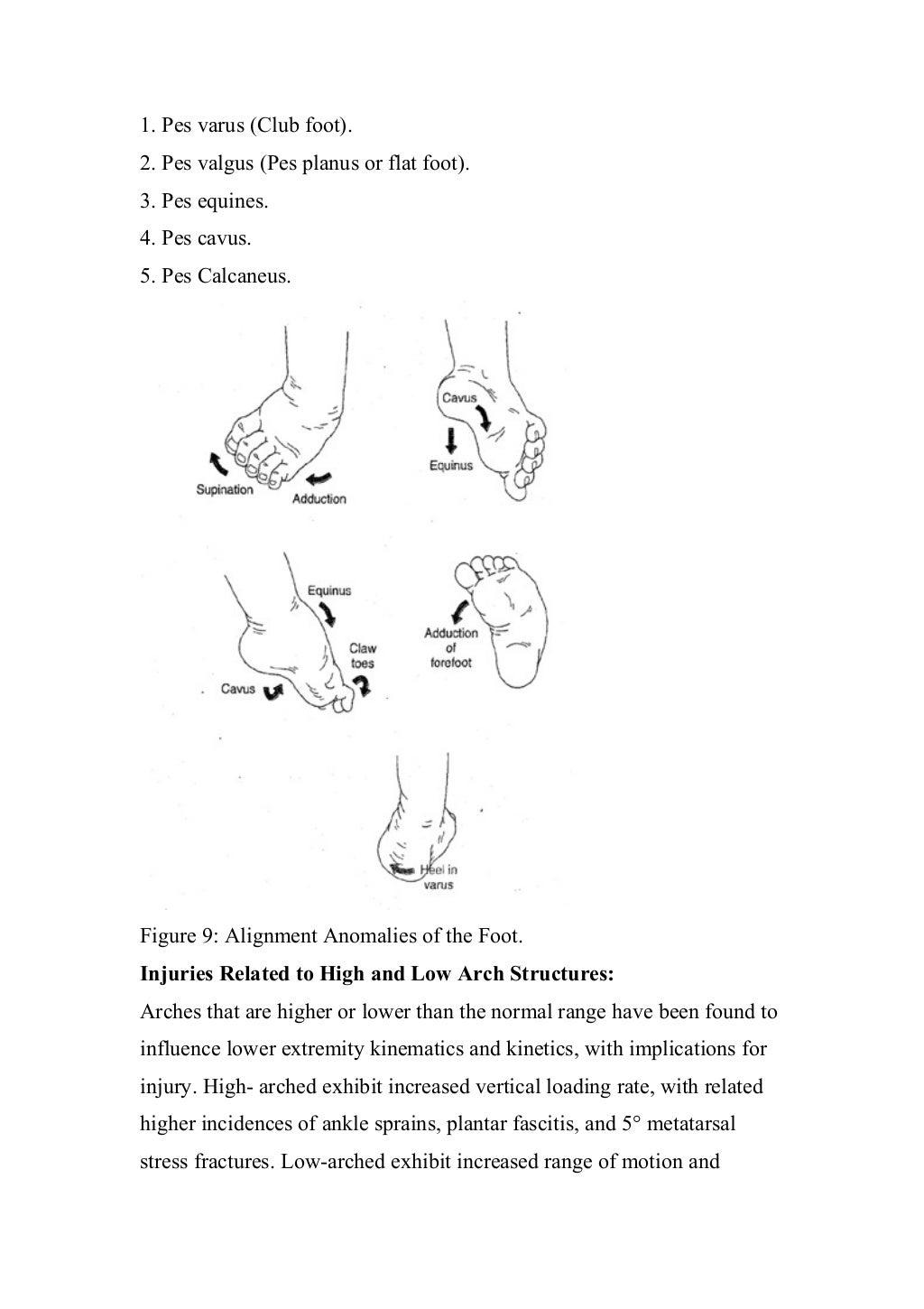 Normal Biomechanics Of The Foot And Ankle – ZGZXPV