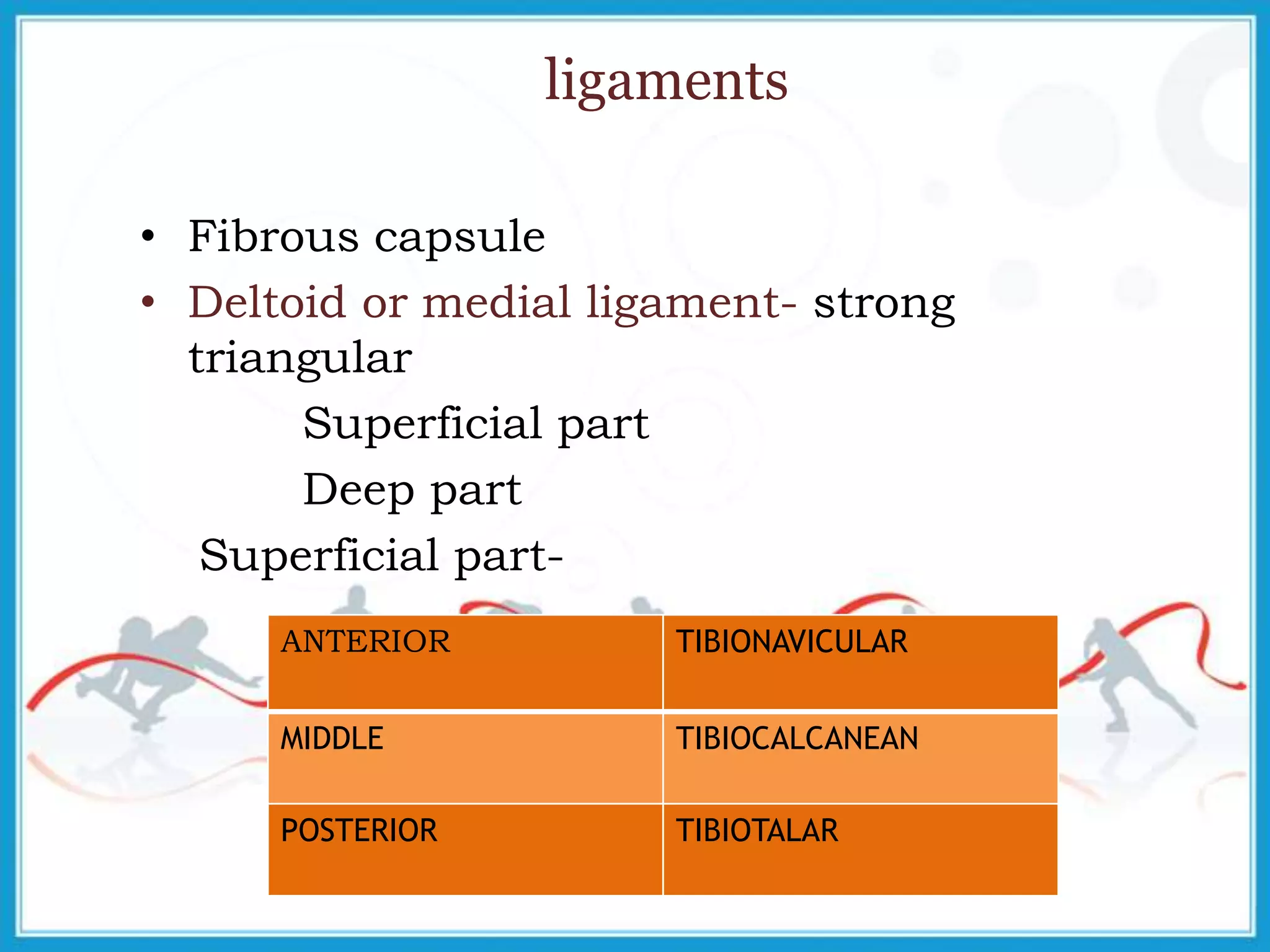 ligaments
• Fibrous capsule
• Deltoid or medial ligament- strong
triangular
Superficial part
Deep part
Superficial part-
ANTERIOR TIBIONAVICULAR
MIDDLE TIBIOCALCANEAN
POSTERIOR TIBIOTALAR
 
