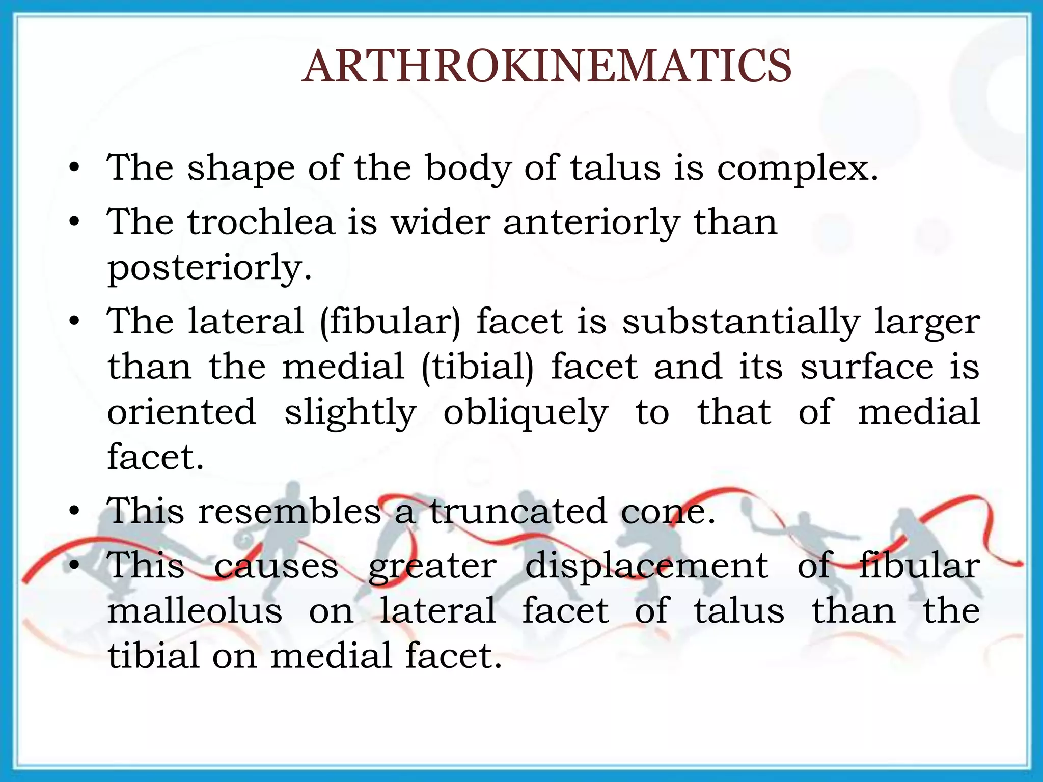 ARTHROKINEMATICS
• The shape of the body of talus is complex.
• The trochlea is wider anteriorly than
posteriorly.
• The lateral (fibular) facet is substantially larger
than the medial (tibial) facet and its surface is
oriented slightly obliquely to that of medial
facet.
• This resembles a truncated cone.
• This causes greater displacement of fibular
malleolus on lateral facet of talus than the
tibial on medial facet.
 