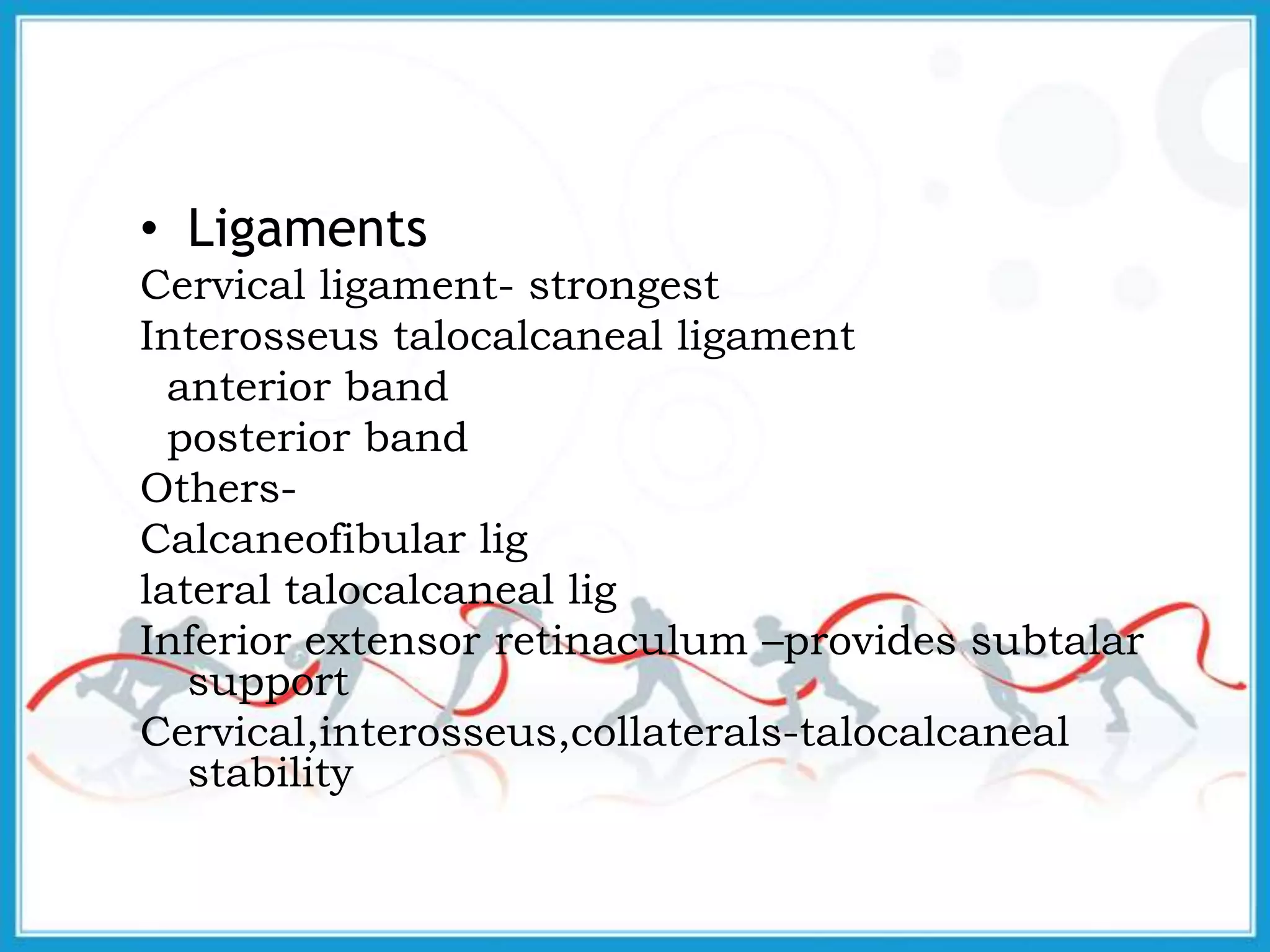 • Ligaments
Cervical ligament- strongest
Interosseus talocalcaneal ligament
anterior band
posterior band
Others-
Calcaneofibular lig
lateral talocalcaneal lig
Inferior extensor retinaculum –provides subtalar
support
Cervical,interosseus,collaterals-talocalcaneal
stability
 