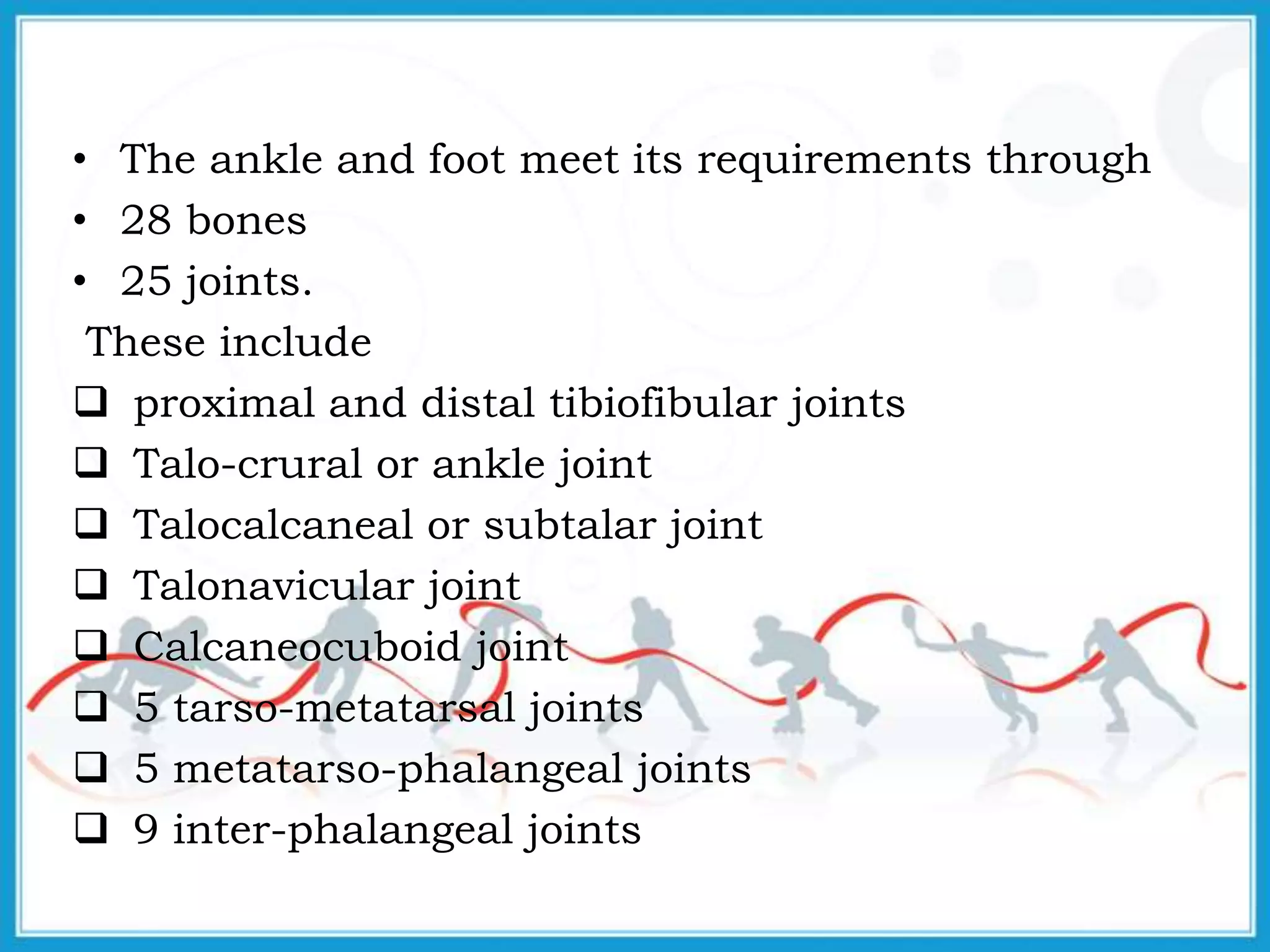 • The ankle and foot meet its requirements through
• 28 bones
• 25 joints.
These include
 proximal and distal tibiofibular joints
 Talo-crural or ankle joint
 Talocalcaneal or subtalar joint
 Talonavicular joint
 Calcaneocuboid joint
 5 tarso-metatarsal joints
 5 metatarso-phalangeal joints
 9 inter-phalangeal joints
 