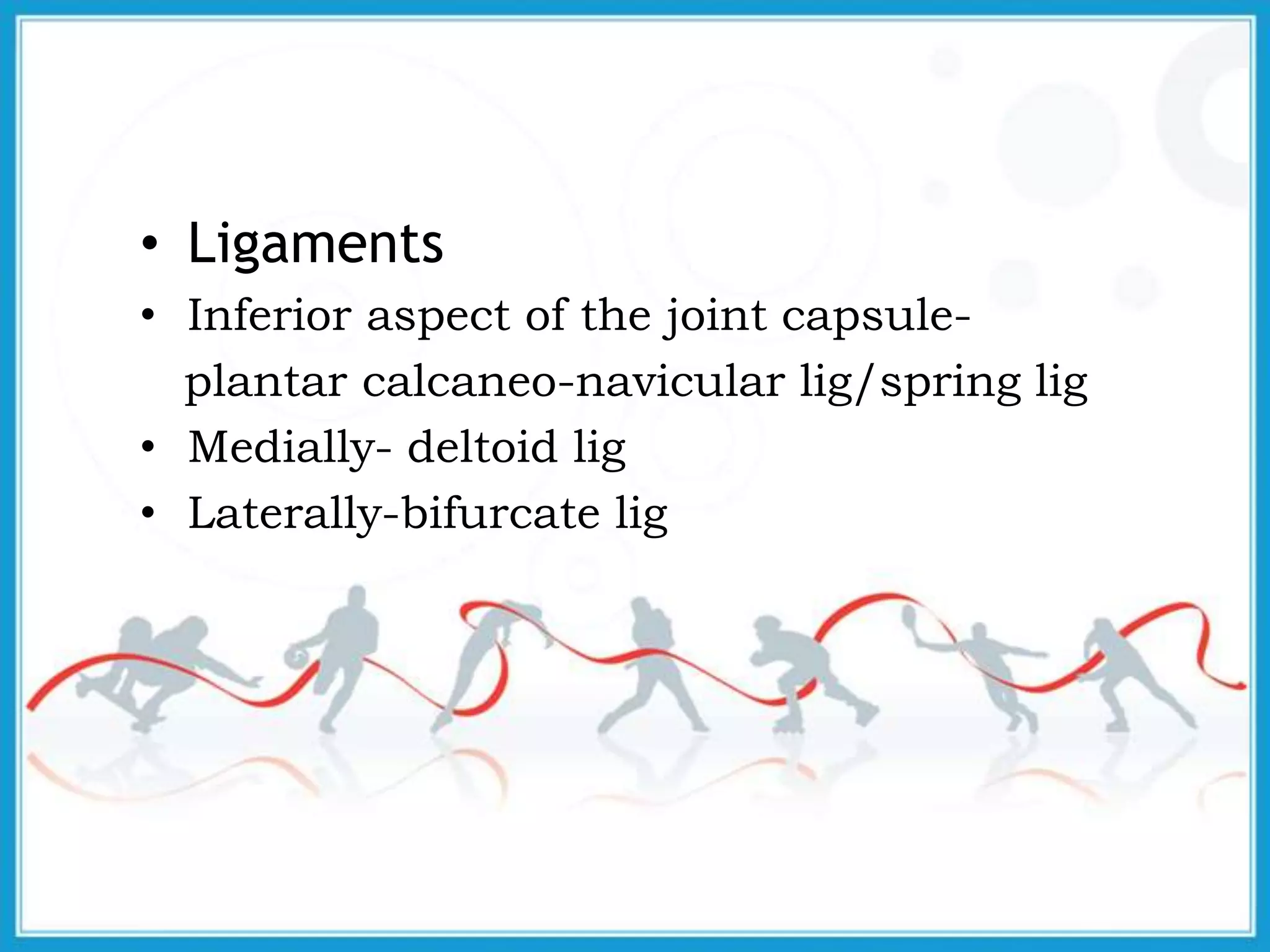 • Ligaments
• Inferior aspect of the joint capsule-
plantar calcaneo-navicular lig/spring lig
• Medially- deltoid lig
• Laterally-bifurcate lig
 