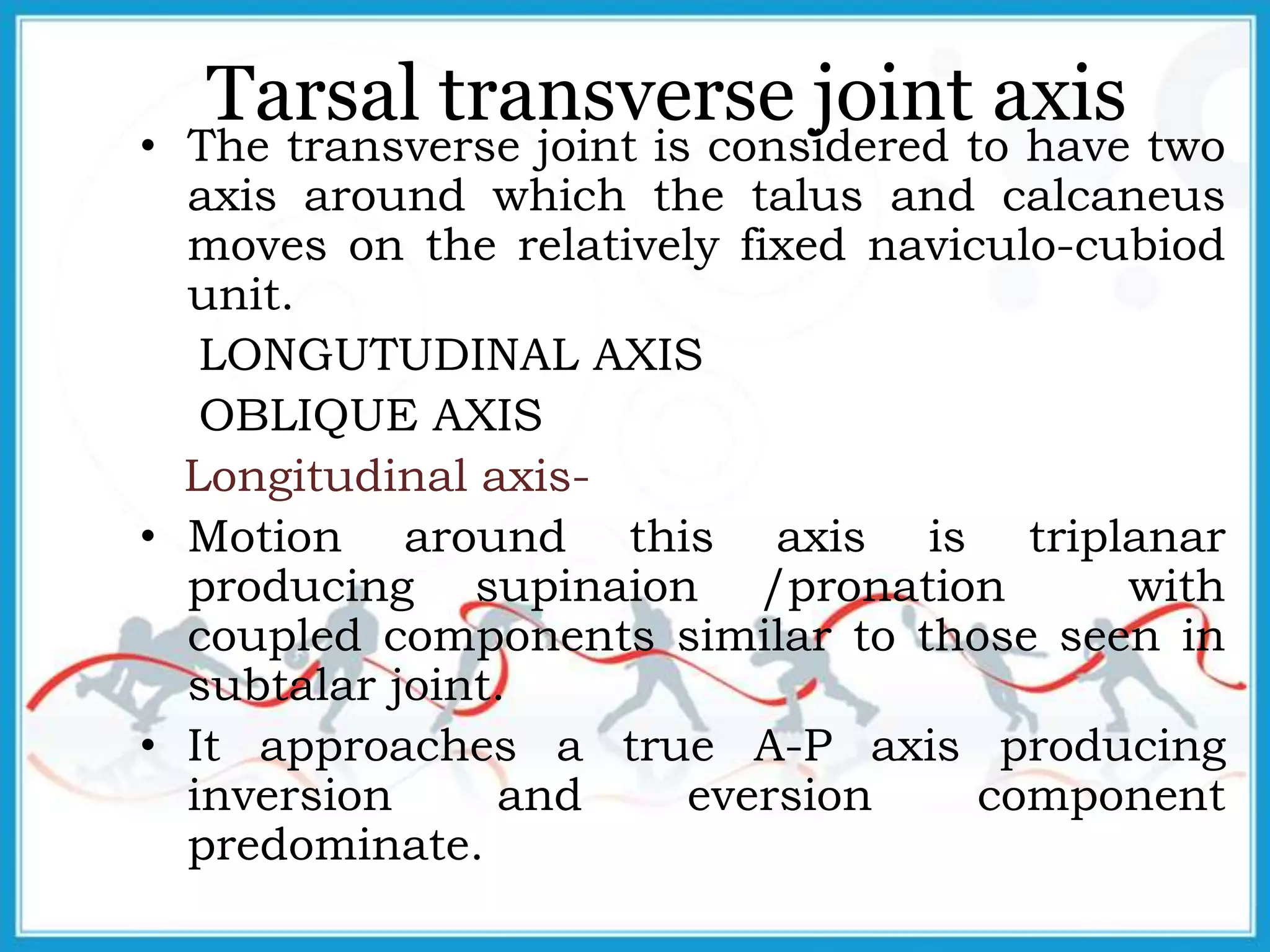 Tarsal transverse joint axis
• The transverse joint is considered to have two
axis around which the talus and calcaneus
moves on the relatively fixed naviculo-cubiod
unit.
LONGUTUDINAL AXIS
OBLIQUE AXIS
Longitudinal axis-
• Motion around this axis is triplanar
producing supinaion /pronation with
coupled components similar to those seen in
subtalar joint.
• It approaches a true A-P axis producing
inversion and eversion component
predominate.
 