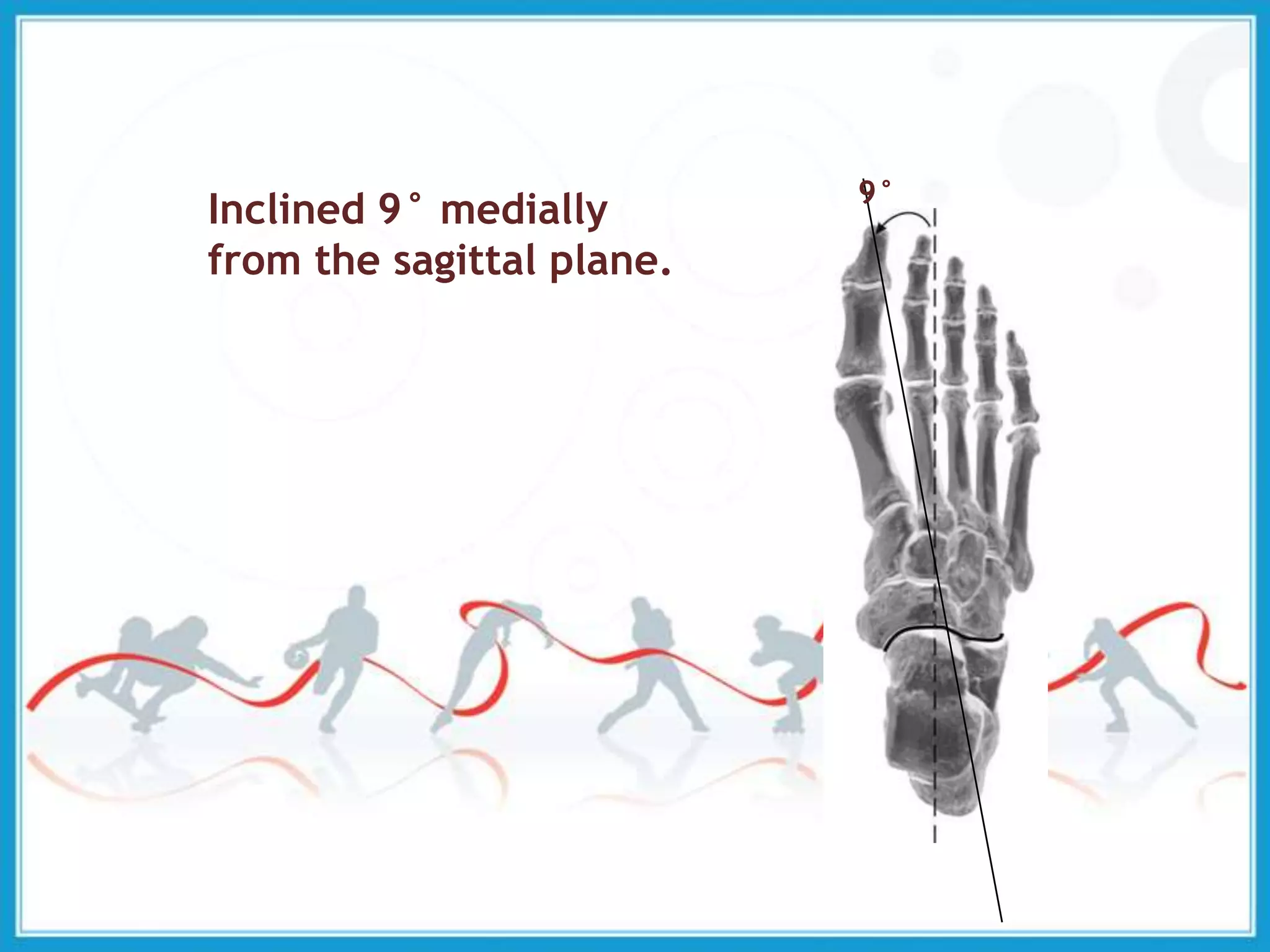 Inclined 9° medially
from the sagittal plane.
9°
 