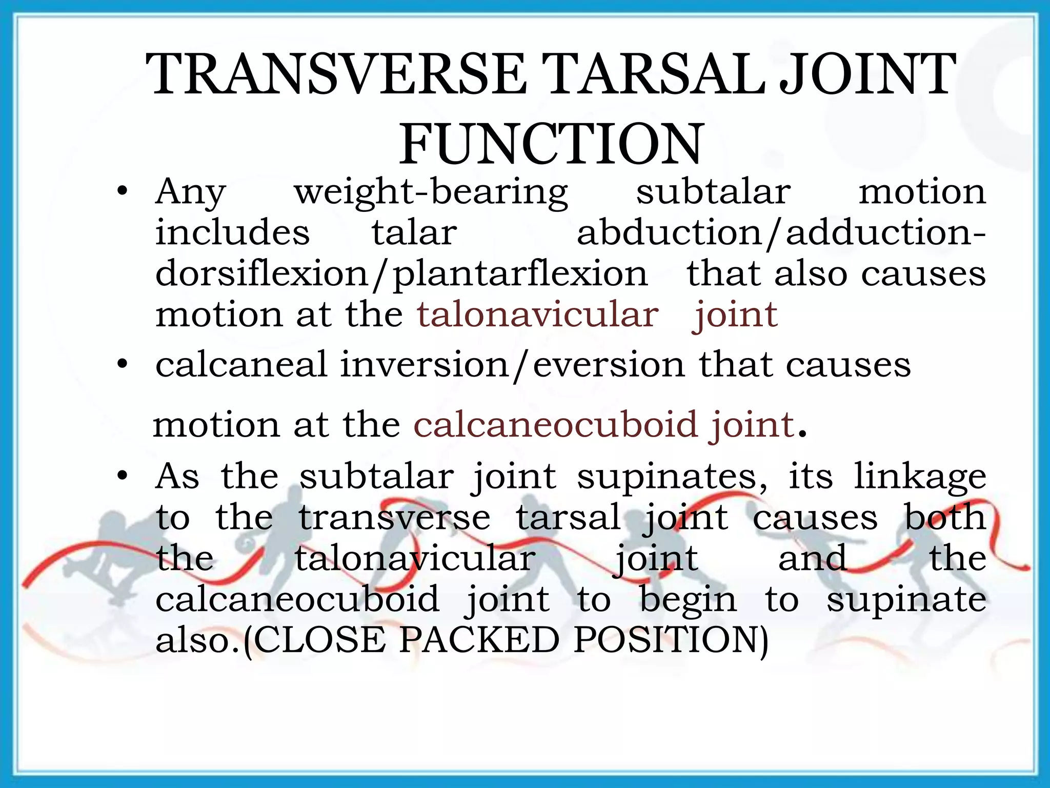 TRANSVERSE TARSAL JOINT
FUNCTION
• Any weight-bearing subtalar motion
includes talar abduction/adduction-
dorsiflexion/plantarflexion that also causes
motion at the talonavicular joint
• calcaneal inversion/eversion that causes
motion at the calcaneocuboid joint.
• As the subtalar joint supinates, its linkage
to the transverse tarsal joint causes both
the talonavicular joint and the
calcaneocuboid joint to begin to supinate
also.(CLOSE PACKED POSITION)
 