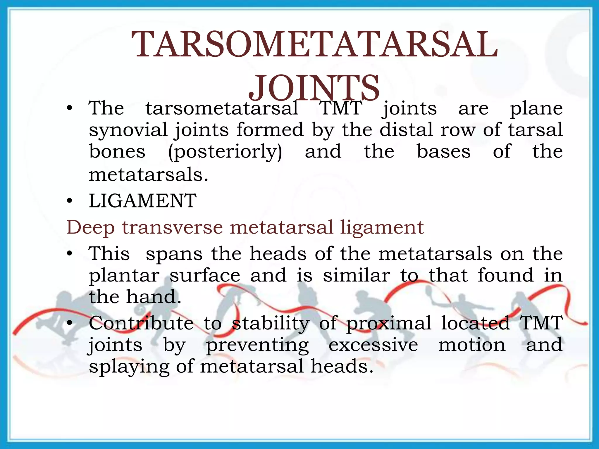 TARSOMETATARSAL
JOINTS• The tarsometatarsal TMT joints are plane
synovial joints formed by the distal row of tarsal
bones (posteriorly) and the bases of the
metatarsals.
• LIGAMENT
Deep transverse metatarsal ligament
• This spans the heads of the metatarsals on the
plantar surface and is similar to that found in
the hand.
• Contribute to stability of proximal located TMT
joints by preventing excessive motion and
splaying of metatarsal heads.
 