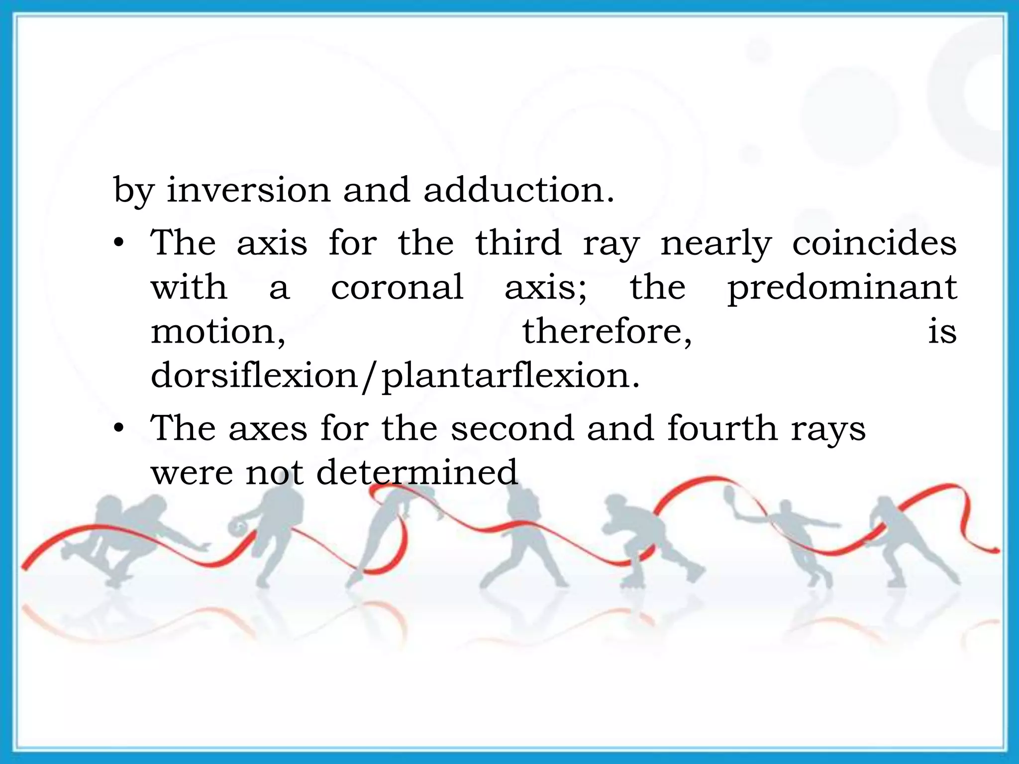 by inversion and adduction.
• The axis for the third ray nearly coincides
with a coronal axis; the predominant
motion, therefore, is
dorsiflexion/plantarflexion.
• The axes for the second and fourth rays
were not determined
 