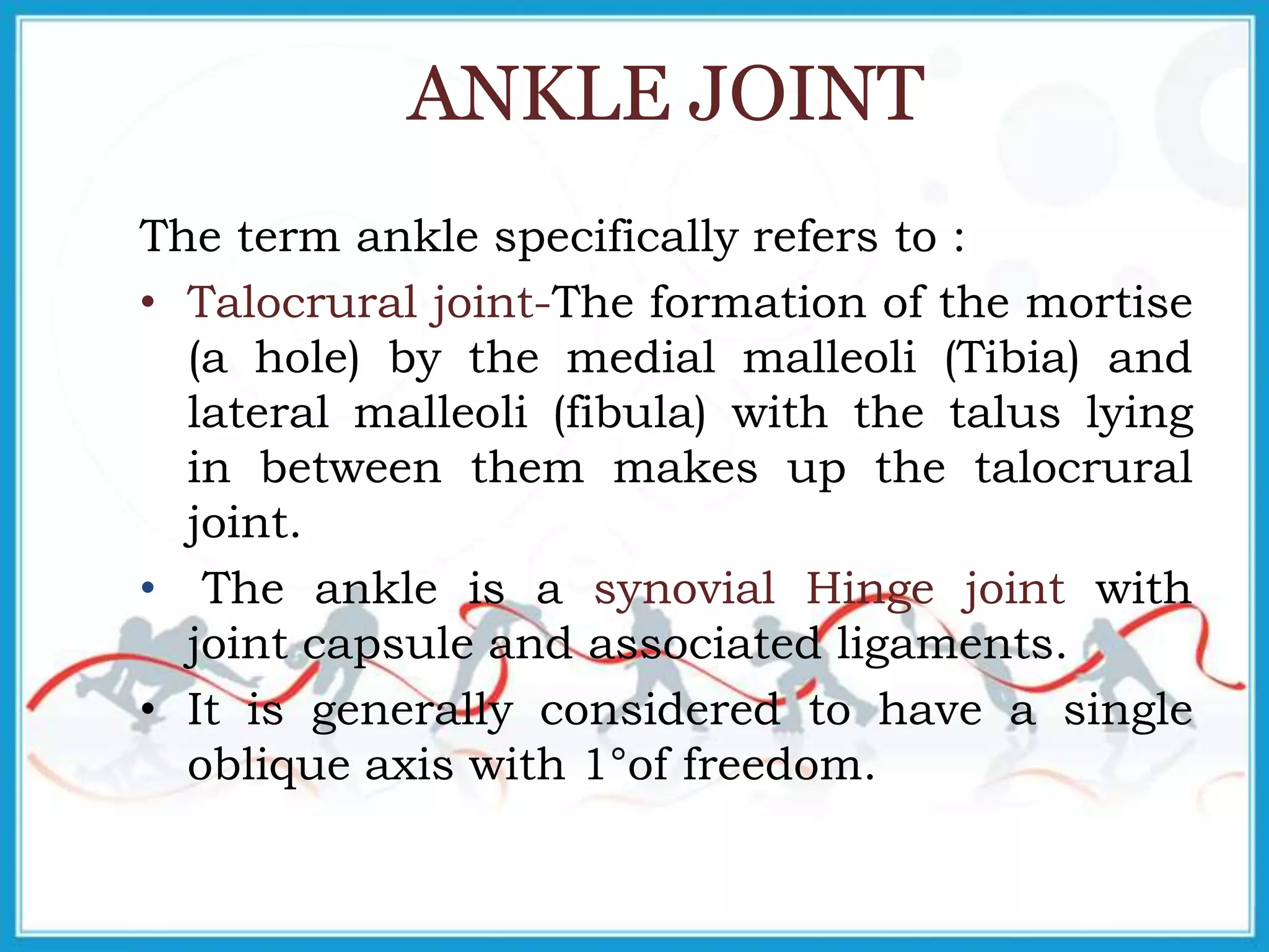 ANKLE JOINT
The term ankle specifically refers to :
• Talocrural joint-The formation of the mortise
(a hole) by the medial malleoli (Tibia) and
lateral malleoli (fibula) with the talus lying
in between them makes up the talocrural
joint.
• The ankle is a synovial Hinge joint with
joint capsule and associated ligaments.
• It is generally considered to have a single
oblique axis with 1°of freedom.
 