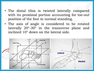 Normal Tibia Movement Biomechanics of ankle_joint | PPTX