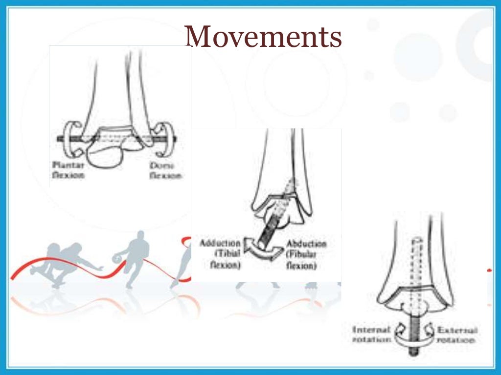 The Biomechanics of Distal Loading and Muscle Hypertrophy
