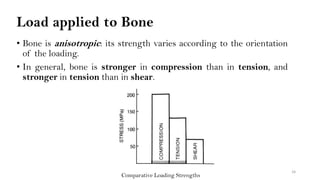 Bone Loading Score Figure Biomechanics of bones PDF | PDF