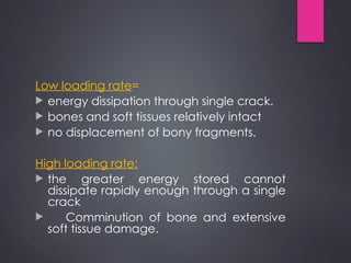 Comprehensive Biomechanics of Bones: Structure, Loading, and Fracture ...