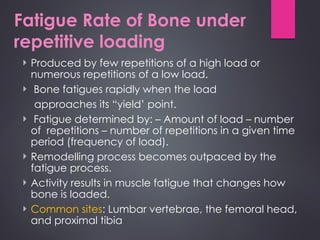 Comprehensive Biomechanics of Bones: Structure, Loading, and Fracture ...