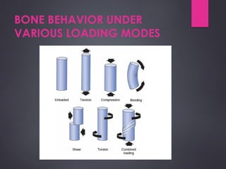 Bone Loading Score Figure Comprehensive Biomechanics of Bones: Structure, Loading, and Fracture ...