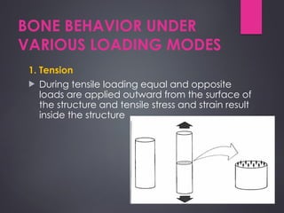 Bone Loading Score Figure Comprehensive Biomechanics of Bones: Structure, Loading, and Fracture ...