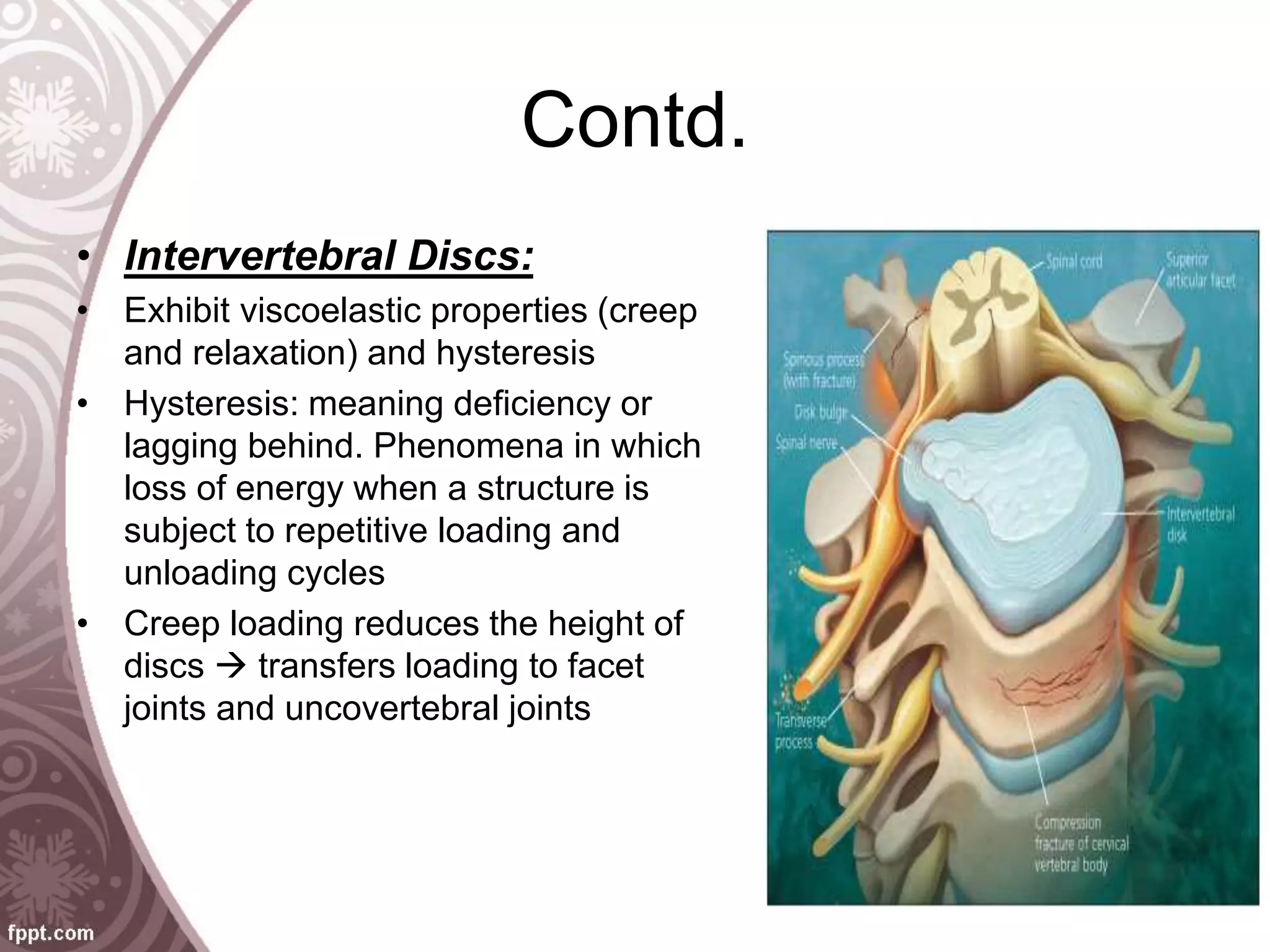 Contd.
• Intervertebral Discs:
• Exhibit viscoelastic properties (creep
and relaxation) and hysteresis
• Hysteresis: meaning deficiency or
lagging behind. Phenomena in which
loss of energy when a structure is
subject to repetitive loading and
unloading cycles
• Creep loading reduces the height of
discs  transfers loading to facet
joints and uncovertebral joints
 