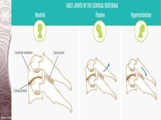 biomechanics of cervical.ppt