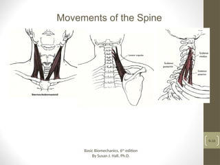 Biomechanics of cervical Spine by susan.j (1).ppt