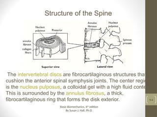 Biomechanics of cervical Spine by susan.j (1).ppt