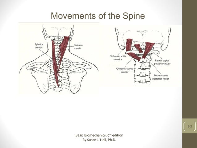 Biomechanics of cervical Spine by susan.j (1).ppt