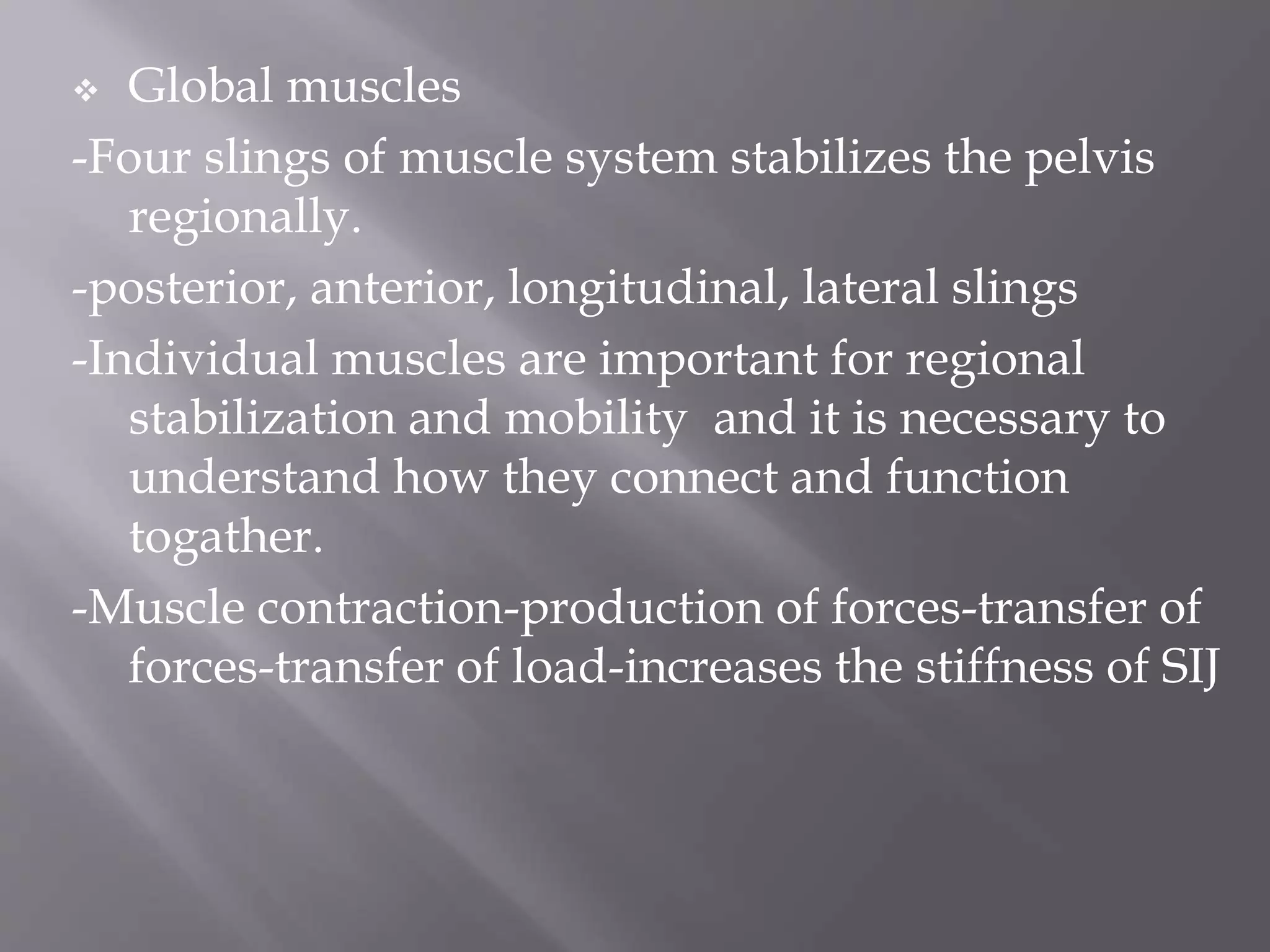  Global muscles
-Four slings of muscle system stabilizes the pelvis
regionally.
-posterior, anterior, longitudinal, lateral slings
-Individual muscles are important for regional
stabilization and mobility and it is necessary to
understand how they connect and function
togather.
-Muscle contraction-production of forces-transfer of
forces-transfer of load-increases the stiffness of SIJ
 