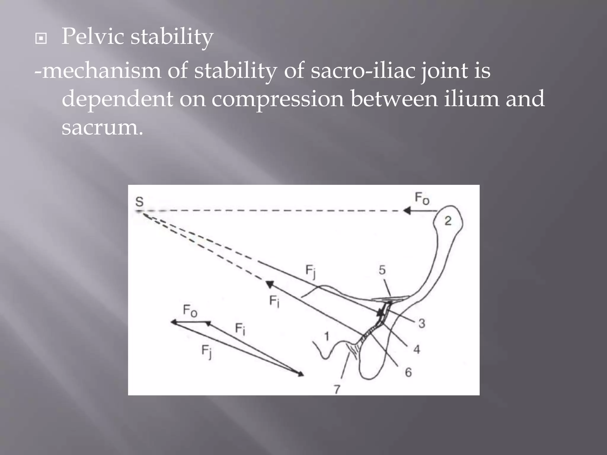  Pelvic stability
-mechanism of stability of sacro-iliac joint is
dependent on compression between ilium and
sacrum.
 