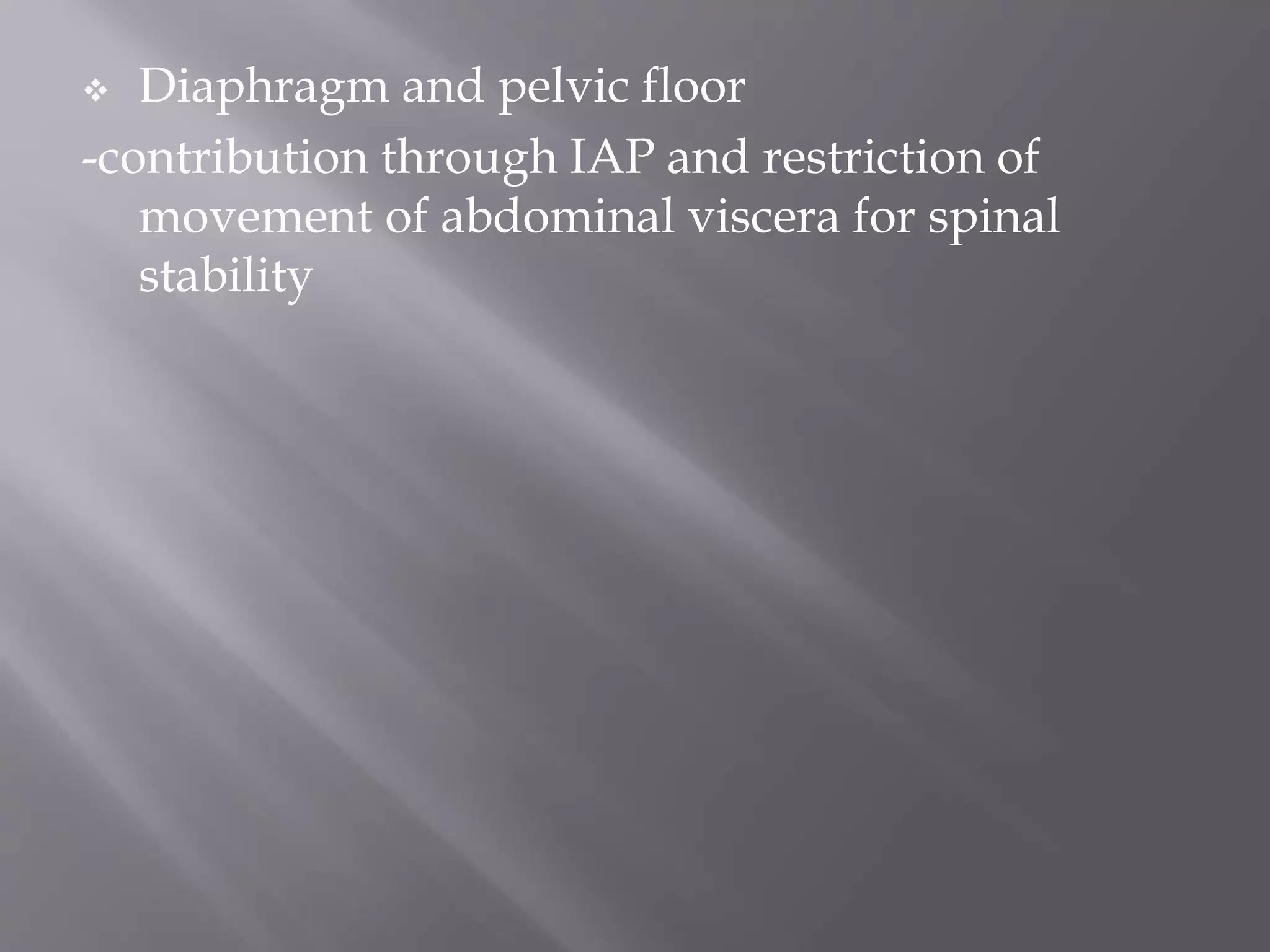  Diaphragm and pelvic floor
-contribution through IAP and restriction of
movement of abdominal viscera for spinal
stability
 