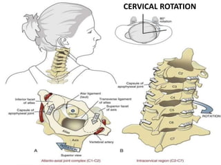 BIOMECHANICS OF C+T SPINggffffggggE.pptx
