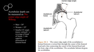 Biomechanics of hip | PPTX