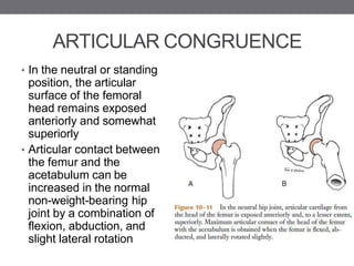 Biomechanics of hipdjjhfdyjhgdfukkij.pdf