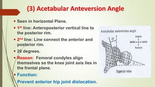 Biomechanics of HIP | PPTX