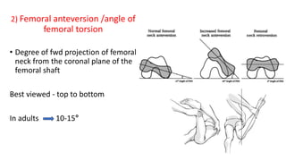 Biomechanics of hip 2.pptx
