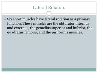 Biomechanics of hip complex 2 | PPTX
