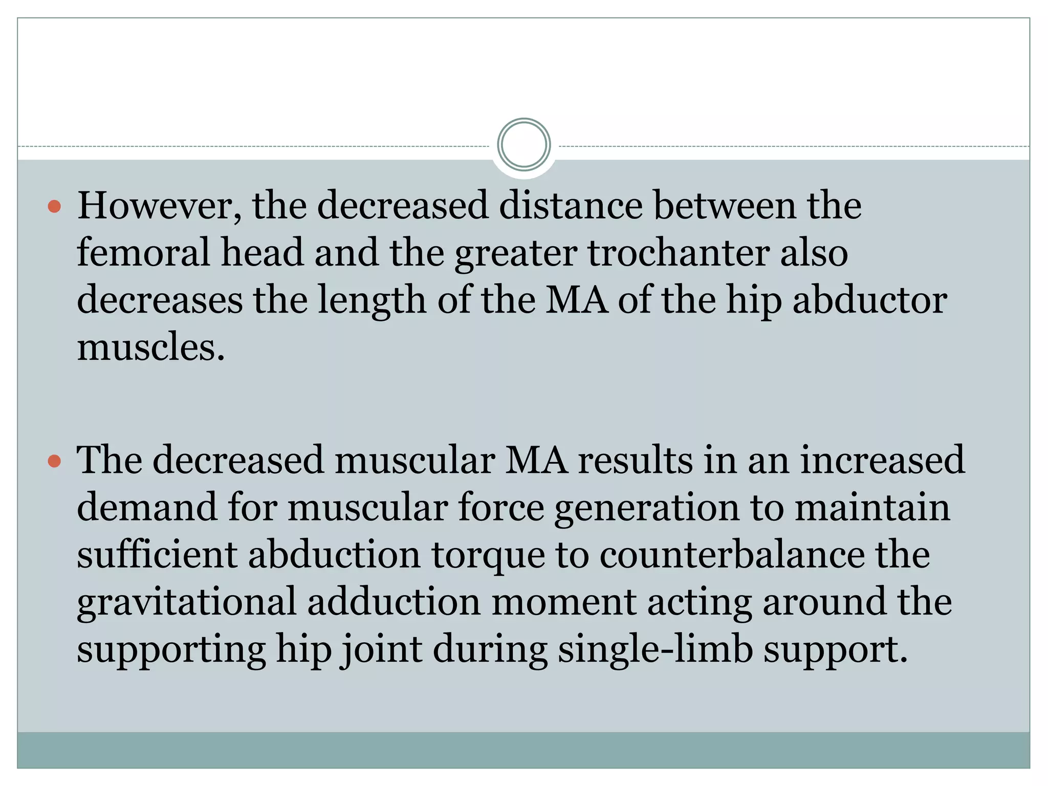  However, the decreased distance between the
femoral head and the greater trochanter also
decreases the length of the MA of the hip abductor
muscles.
 The decreased muscular MA results in an increased
demand for muscular force generation to maintain
sufficient abduction torque to counterbalance the
gravitational adduction moment acting around the
supporting hip joint during single-limb support.
 