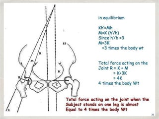 BIOMECHANICS OF HIP JOINT | PPTX