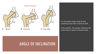 biomechanics of hip ppt for post graduates | PPTX