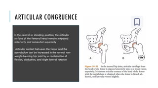 biomechanics of hip ppt for post graduates | PPTX
