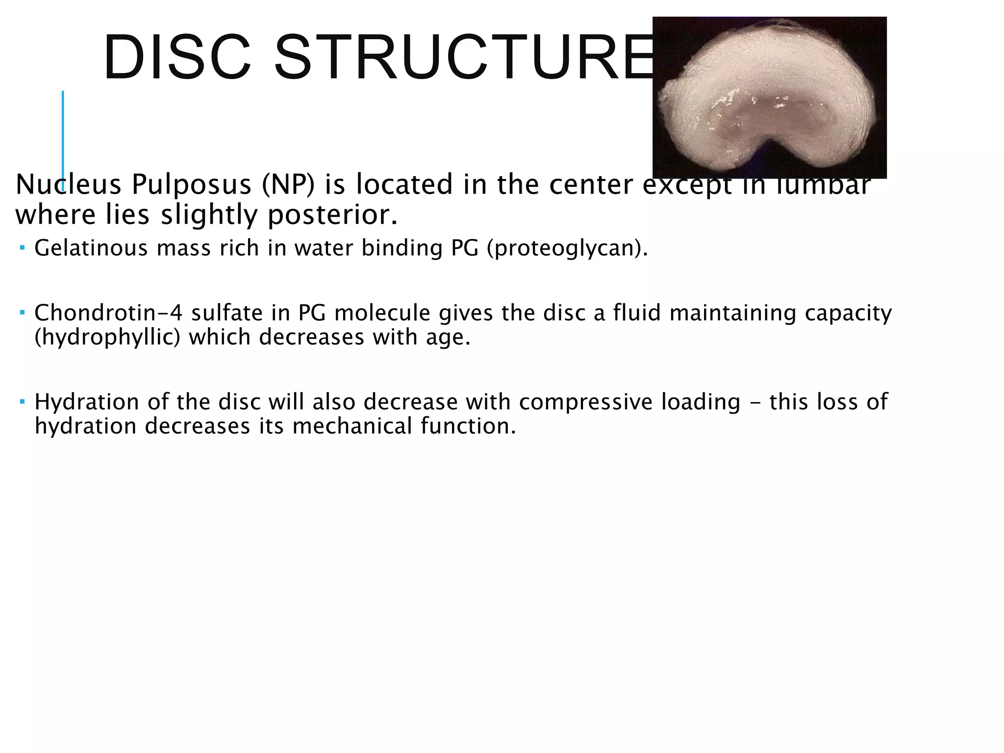Pulpus Biomechanics of human spine. | PPTX
