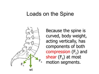 Biomechanics of human spine. | PPTX