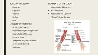 Biomechanics of joints | PPTX