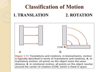 biomechanics of joints.pptx