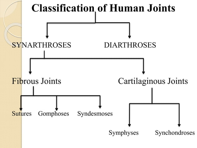 biomechanics of jointspptx Biology Diagrams