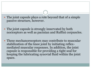 Pacinian And Ruffini Biomechanics of knee complex 3 | PPTX