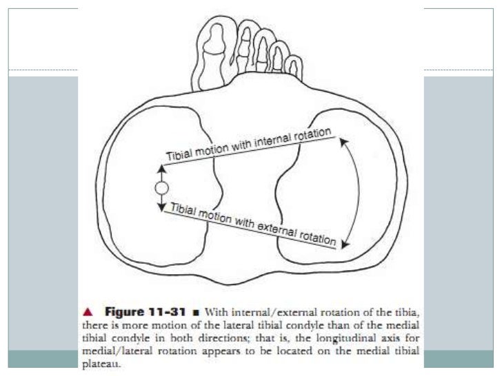 Biomechanics of knee complex 6 tibiofemoral jt function