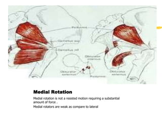 Biomechanics of lower Limb | PPT