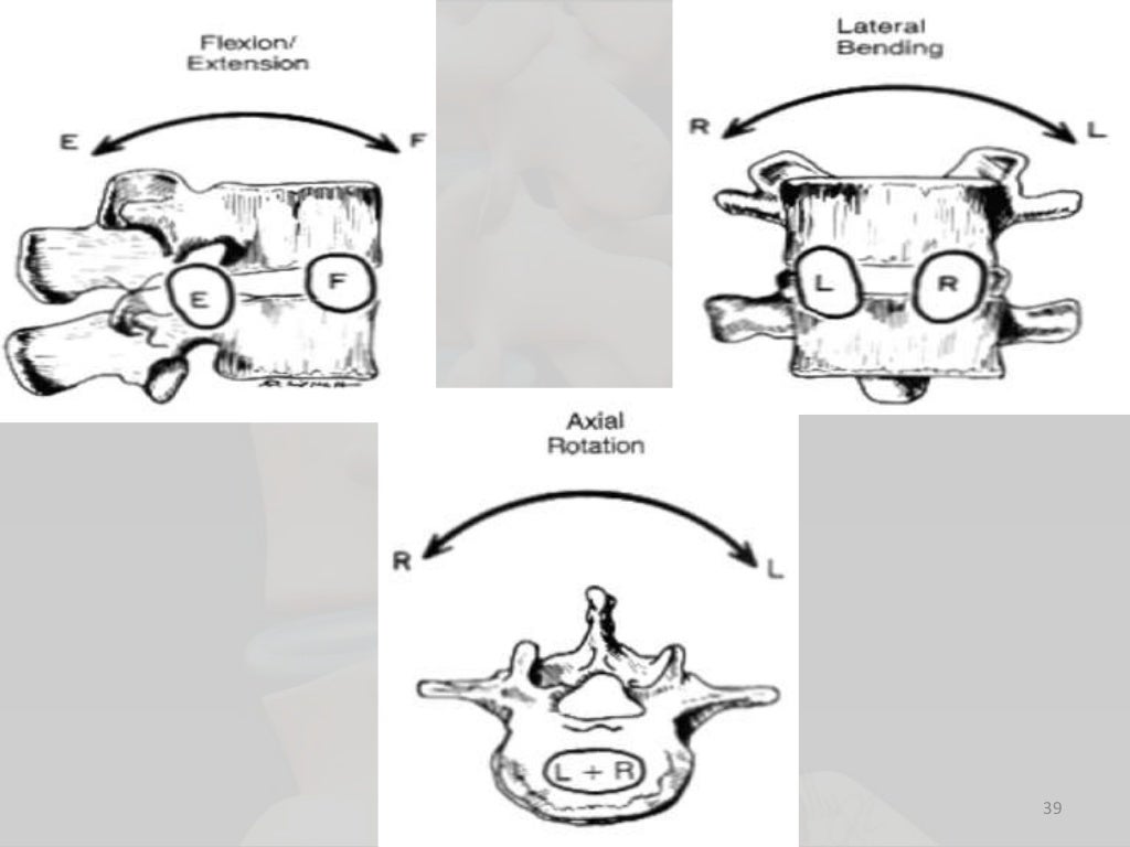 Biomechanics of lumbar spine