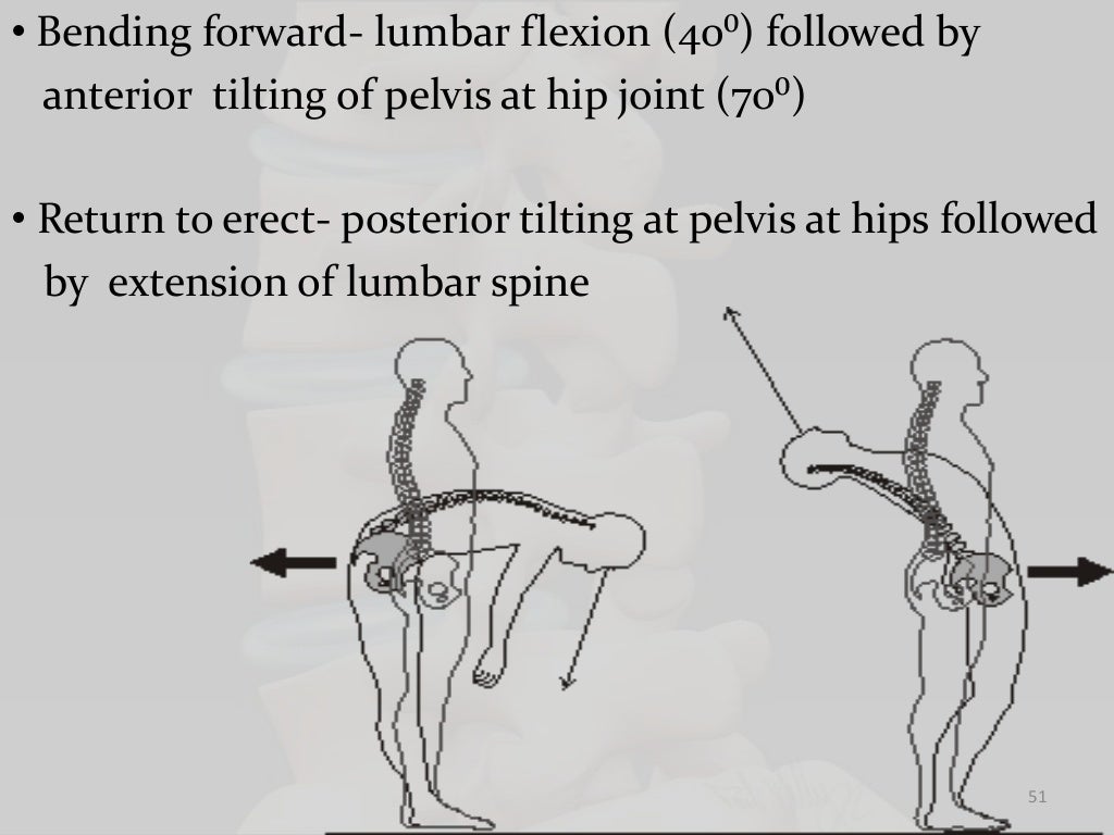 Biomechanics of lumbar spine