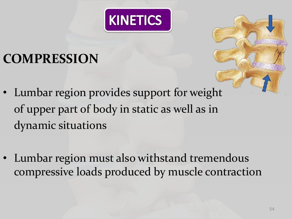 Biomechanics of lumbar spine