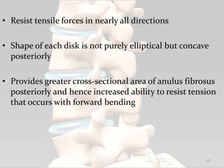 • Resist tensile forces in nearly all directions
• Shape of each disk is not purely elliptical but concave
posteriorly
• Provides greater cross-sectional area of anulus fibrosus
posteriorly and hence increased ability to resist tension
that occurs with forward bending
12
 