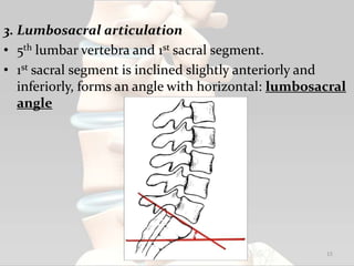 3. Lumbosacral articulation
• 5th lumbar vertebra and 1st sacral segment.
• 1st sacral segment is inclined slightly anteriorly and
inferiorly, forms an angle with horizontal: lumbosacral
angle
15
 